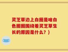 灵芝草边上白圈是啥白色圈圈围绕着灵芝草生长的原因是什么？)