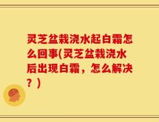 灵芝盆栽浇水起白霜怎么回事(灵芝盆栽浇水后出现白霜，怎么解决？)