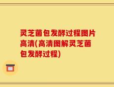 灵芝菌包发酵过程图片高清(高清图解灵芝菌包发酵过程)