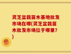 灵芝盆栽苗木基地批发市场在哪(灵芝盆栽苗木批发市场位于哪里？)