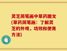 灵芝简笔画中草药图文(草药简笔画：了解灵芝的外观，功效和使用方法)