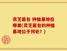 灵芝菌包 种植基地在哪里(灵芝菌包的种植基地位于何处？)