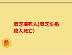 灵芝撞死人(灵芝车祸致人死亡)