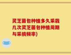 灵芝菌包种植多久采栽几次灵芝菌包种植周期与采摘频率)