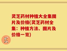 灵芝药材种植大全集图片及价格(灵芝药材全集：种植方法、图片及价格一览)