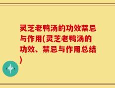 灵芝老鸭汤的功效禁忌与作用(灵芝老鸭汤的功效、禁忌与作用总结)