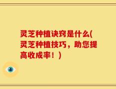灵芝种植诀窍是什么(灵芝种植技巧，助您提高收成率！)