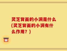 灵芝背面的小洞是什么(灵芝背面的小洞有什么作用？)