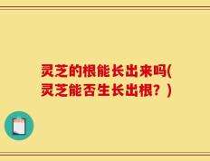 灵芝的根能长出来吗(灵芝能否生长出根？)