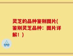 灵芝的品种鉴别图片(鉴别灵芝品种：图片详解！)