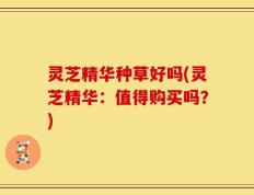 灵芝精华种草好吗(灵芝精华：值得购买吗？)