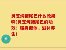 灵芝炖猪尾巴什么效果啊(灵芝炖猪尾巴的功效：强身健体，滋补养生)