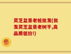 灵芝盆景老桩批发(批发灵芝盆景老树干,高品质低价!)