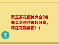 灵芝茶花图片大全(精美灵芝茶花图片分享，尽在花瓣美图！)