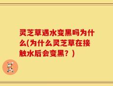 灵芝草遇水变黑吗为什么(为什么灵芝草在接触水后会变黑？)