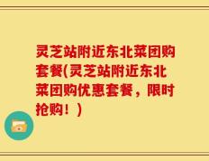 灵芝站附近东北菜团购套餐(灵芝站附近东北菜团购优惠套餐，限时抢购！)