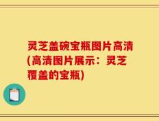 灵芝盖碗宝瓶图片高清(高清图片展示：灵芝覆盖的宝瓶)