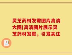 灵芝药材发霉图片高清大图(高清图片展示灵芝药材发霉，引发关注