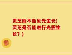 灵芝能不能见光生长(灵芝是否能进行光照生长？)