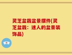 灵芝盆栽盆景摆件(灵芝盆栽：迷人的盆景装饰品)