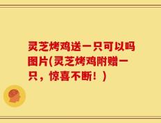 灵芝烤鸡送一只可以吗图片(灵芝烤鸡附赠一只，惊喜不断！)