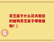 灵芝属于什么花卉类型的植物灵芝属于哪类植物？)