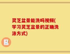 灵芝盆景能洗吗视频(学习灵芝盆景的正确洗涤方式)