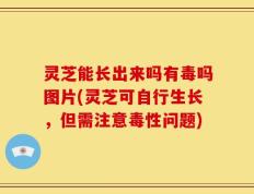 灵芝能长出来吗有毒吗图片(灵芝可自行生长，但需注意毒性问题)