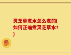灵芝草煮水怎么煮的(如何正确煮灵芝草水？)