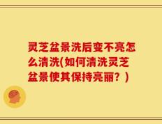 灵芝盆景洗后变不亮怎么清洗(如何清洗灵芝盆景使其保持亮丽？)