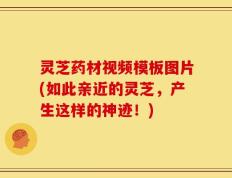 灵芝药材视频模板图片(如此亲近的灵芝，产生这样的神迹！)