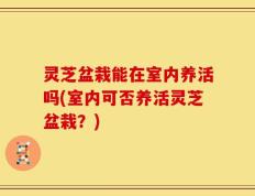 灵芝盆栽能在室内养活吗(室内可否养活灵芝盆栽？)