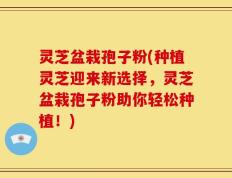 灵芝盆栽孢子粉(种植灵芝迎来新选择，灵芝盆栽孢子粉助你轻松种植！)