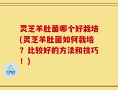 灵芝羊肚菌哪个好栽培(灵芝羊肚菌如何栽培？比较好的方法和技巧！)