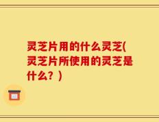 灵芝片用的什么灵芝(灵芝片所使用的灵芝是什么？)