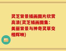 灵芝背景插画图片欣赏高清(灵芝插画图集：美丽背景与神奇灵草交相辉映)