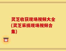 灵芝收获现场视频大全(灵芝采摘现场视频合集)