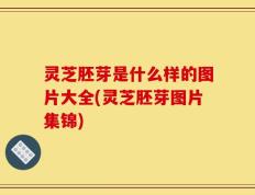 灵芝胚芽是什么样的图片大全(灵芝胚芽图片集锦)