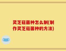 灵芝菇菌种怎么制(制作灵芝菇菌种的方法)
