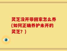 灵芝没开带回家怎么养(如何正确养护未开的灵芝？)