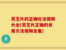 灵芝片的正确吃法视频大全(灵芝片正确的食用方法视频合集)