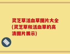 灵芝草活血草图片大全(灵芝草和活血草的高清图片展示)