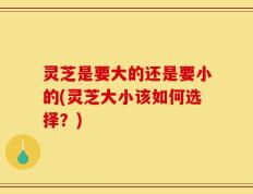 灵芝是要大的还是要小的(灵芝大小该如何选择？)