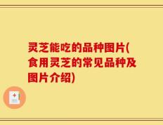 灵芝能吃的品种图片(食用灵芝的常见品种及图片介绍)