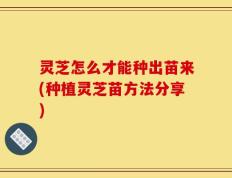 灵芝怎么才能种出苗来(种植灵芝苗方法分享)