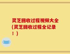 灵芝回收过程视频大全(灵芝回收过程全记录！)