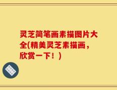灵芝简笔画素描图片大全(精美灵芝素描画，欣赏一下！)