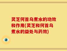 灵芝何首乌煮水的功效和作用(灵芝和何首乌煮水的益处与药效)