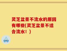 灵芝盆景不流水的原因有哪些(灵芝盆景不适合流水！)
