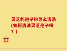灵芝的孢子粉怎么清洗(如何清洗灵芝孢子粉？)